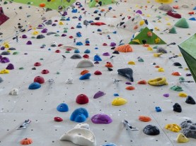 climbing-holds-101538_640